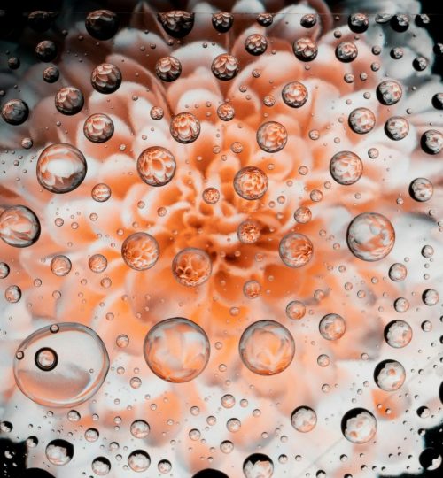 Stunning close-up macro of water droplets with a vibrant flower reflection.